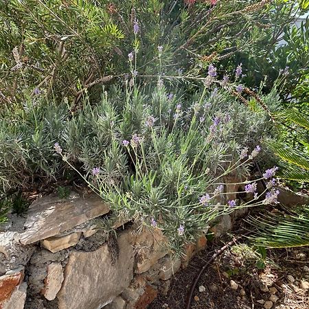 Villa Oleana Makarska Ngoại thất bức ảnh